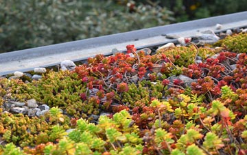 the cost of Knowl Wall green roof installation