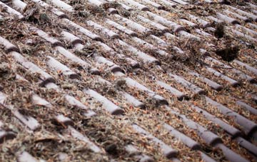 Knowl Wall roof cleaning companies