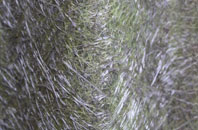 Knowl Wall fibreglass roof work